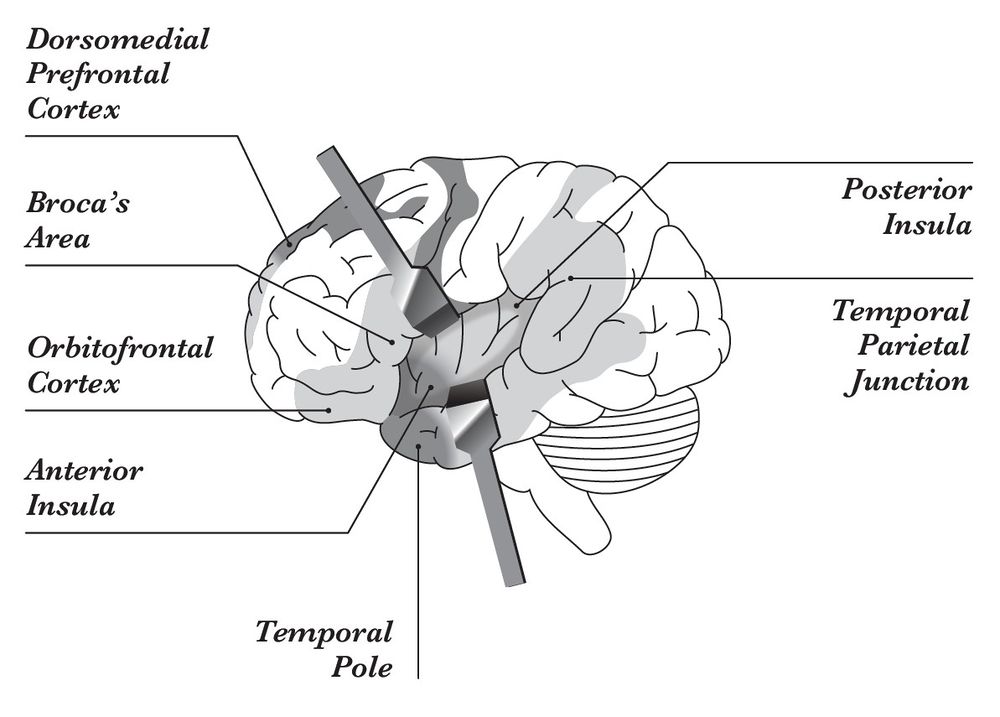 Sense data from your eyes, ears, and other sense organs - 7½ Lessons